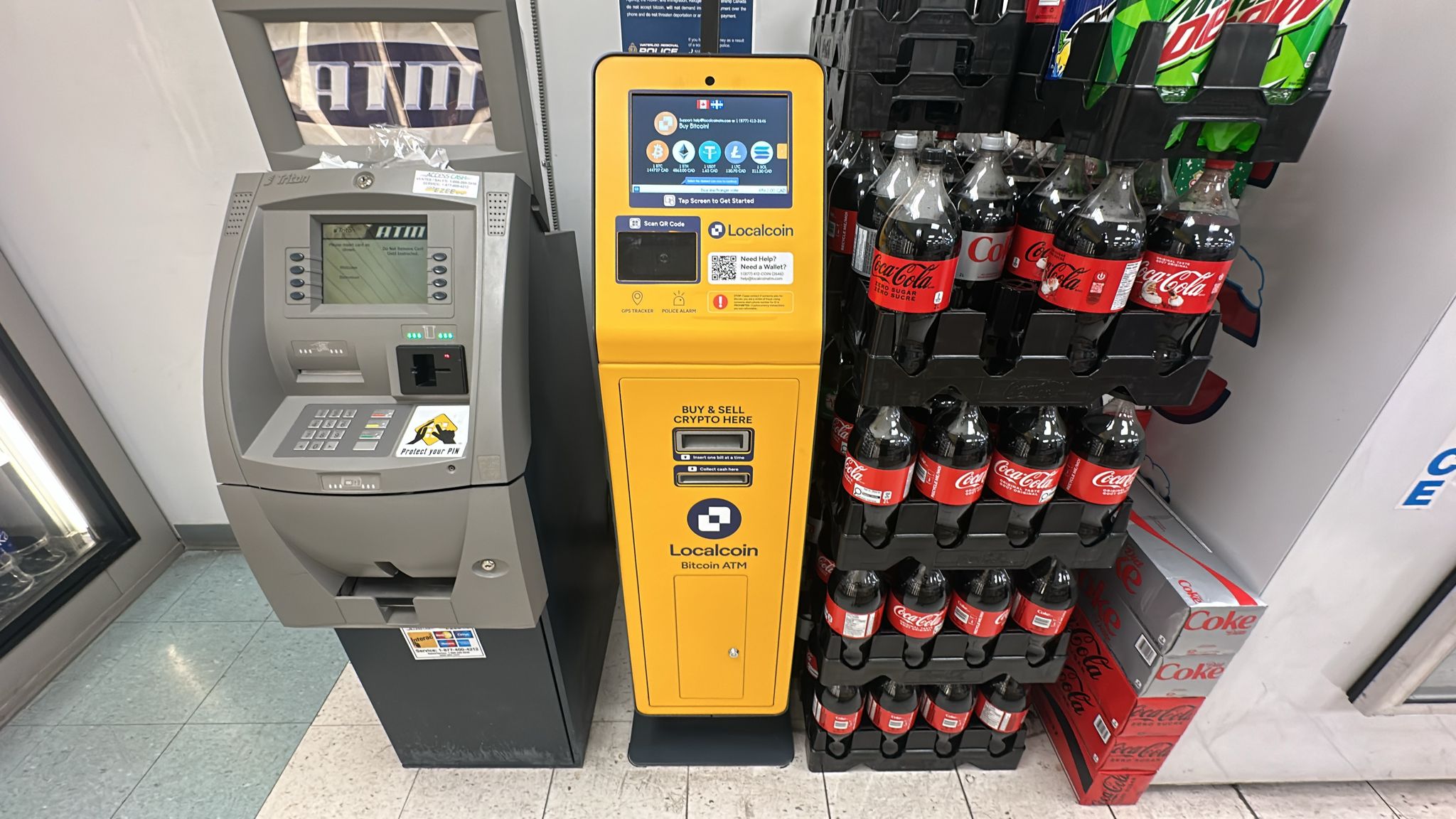 Image of Little Short Stop