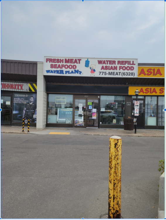 Image of Water Plant Won