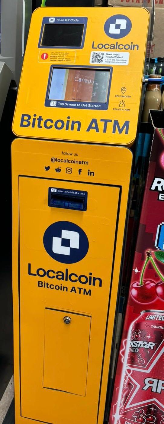 Image of Mountjoy Variety