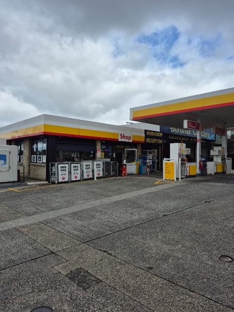 Image of Shell Boronia