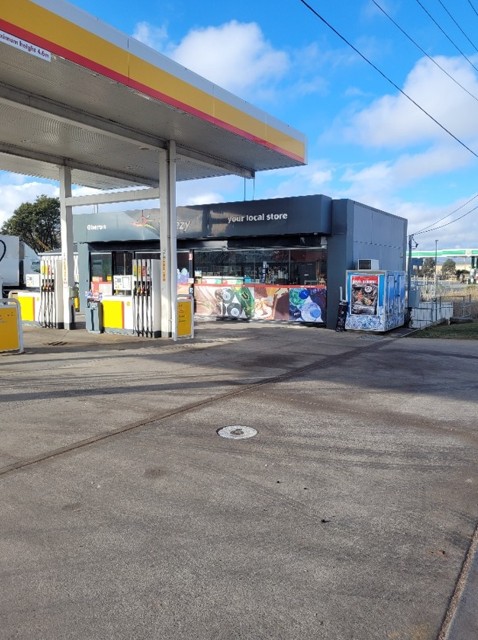 Image of Shell Oberon