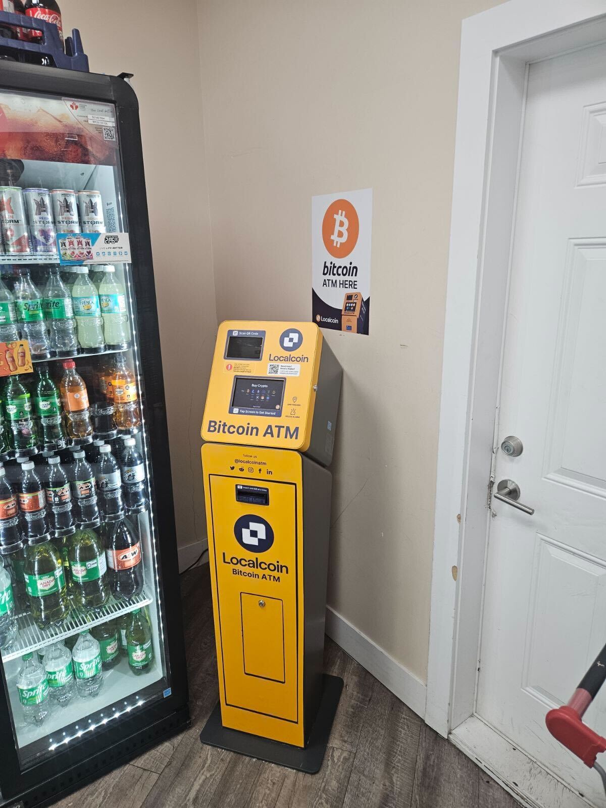 Image of Sardis Husky