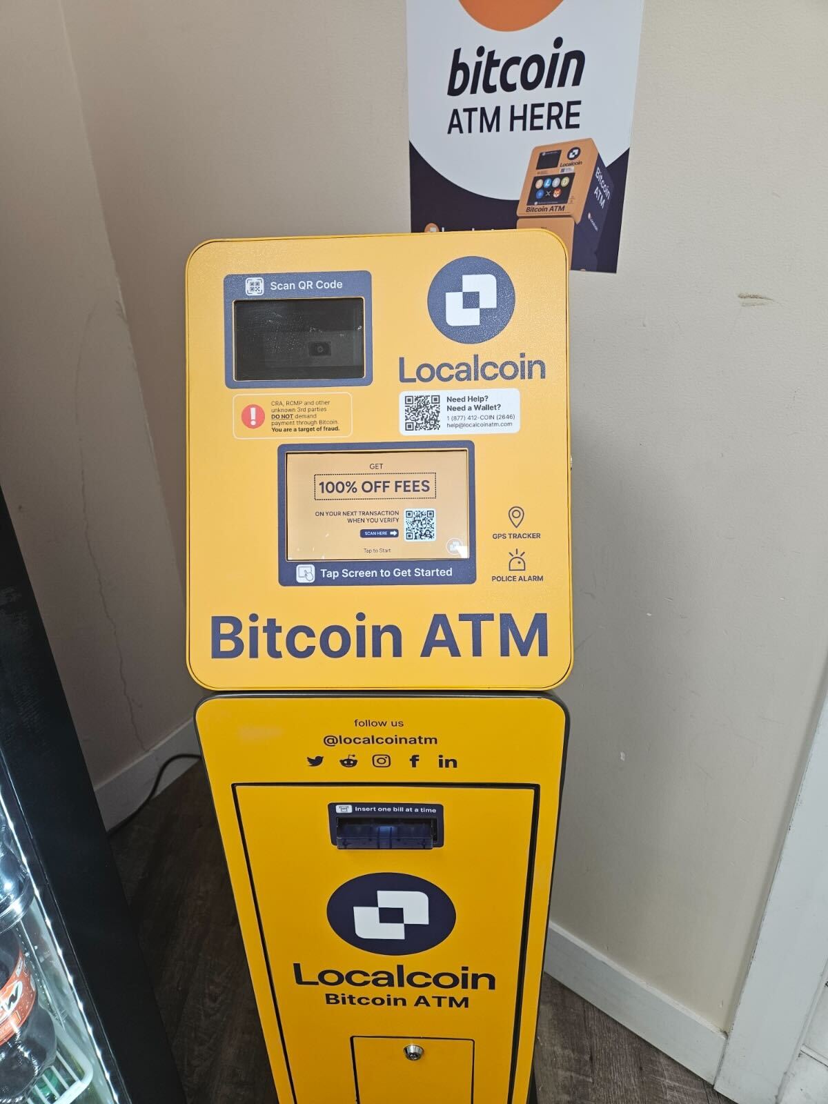 Image of Sardis Husky