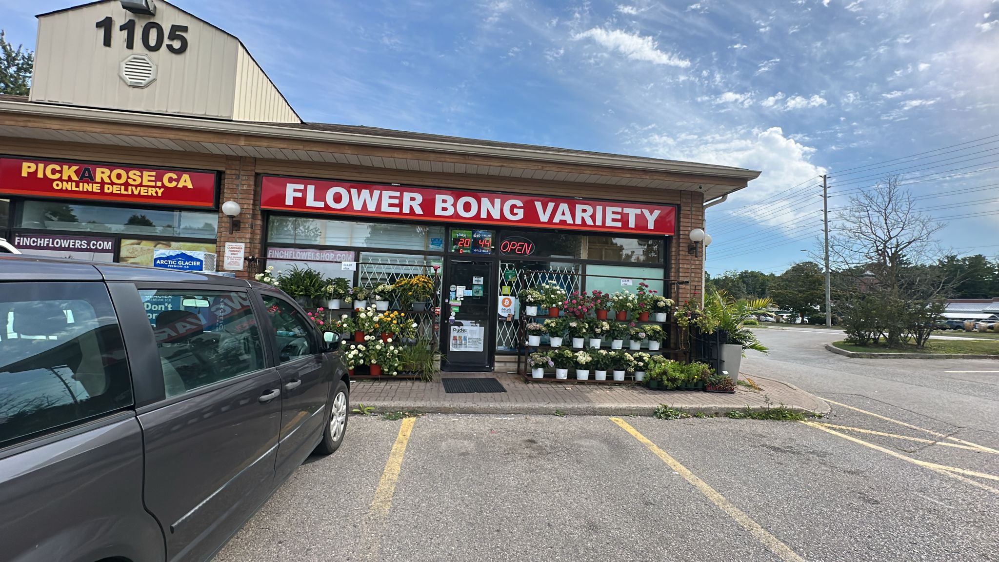 Image of Flower Bong Variety