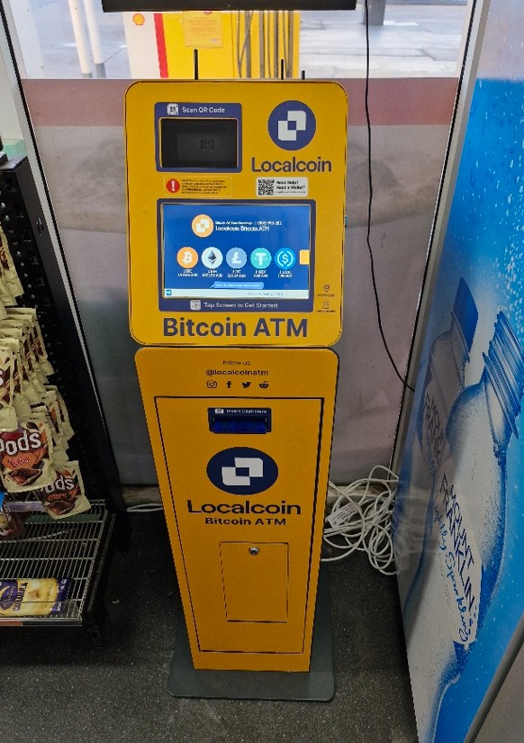 Image of Shell Temora